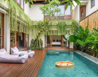 Anandathu Villas, modern 2-Bedroom villas in Canggu